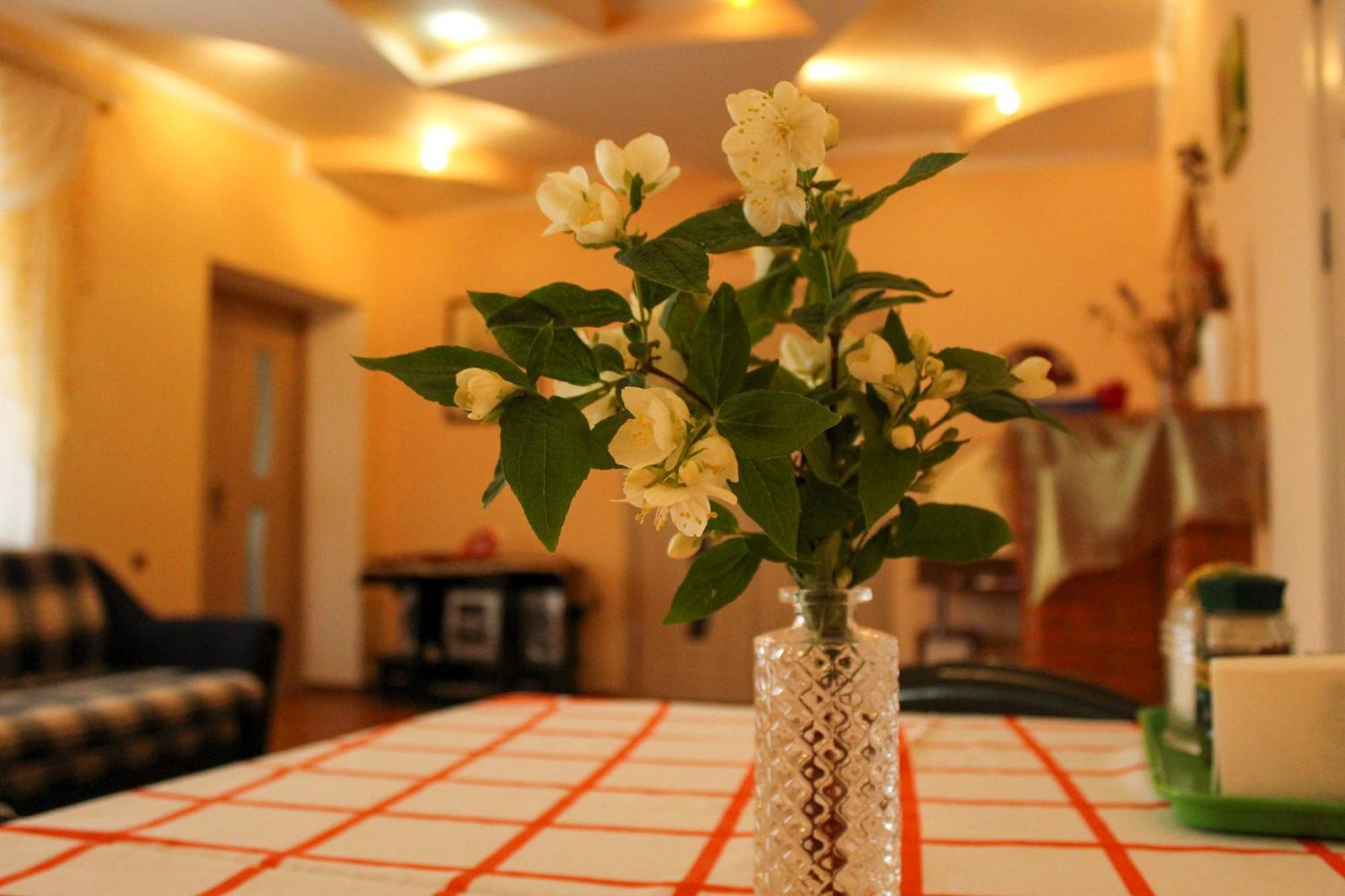 Appartement Sion In Ulmu Extérieur photo